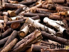 To drewno detronizuje każde inne jako opał do kominka. Polacy je uwielbiają