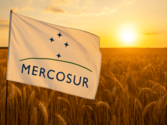 Mercosur dzieli Warszawę i Brukselę. Nawrocki: „Trzeba blokować, nie gadać”