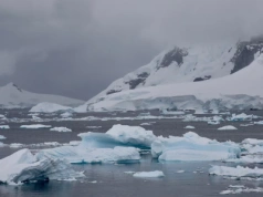 Ten drapieżnik z głębin może żyć setki lat. Naukowcy odkryli jego sekret