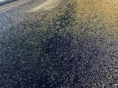 Oblodzenia na drogach i chodnikach. Chwila nieuwagi i... poślizg