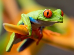 Żabka wprowadziła najbardziej niespodziewaną usługę, o jakiej słyszałem