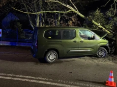 Gmina Skórzec: Wypadł z drogi i uderzył w drzewo