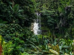 600 tys. zgonów rocznie. Najgroźniejsze zwierze na świecie