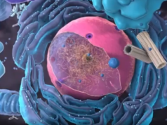 Korzyści i skutki uboczne stosowania błękitu metylenowego — kompleksowy przewodnik