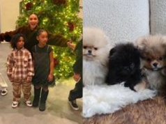 Kim Kardashian w ogniu krytyki za sprezentowanie czwórce dzieci po szczeniaku: "To jest PO*EBANE"