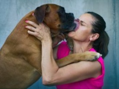 Mówisz do psa jak do dziecka? Oto co dzieje się wtedy w jego mózgu