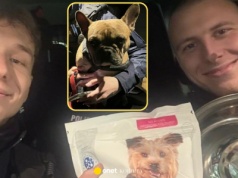 Ktoś zostawił na mrozie psa przywiązanego do drzewa. Policjanci nie wahali się ani chwili