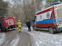 Kobieta przygnieciona przez drzewo w powiecie brzeskim. W akcji ratunkowej uczestniczyły służby z dwóch powiatów