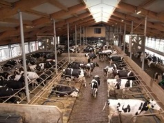 Cyberataki, które dotknęły rolnictwo. To nie są scenariusze z filmu