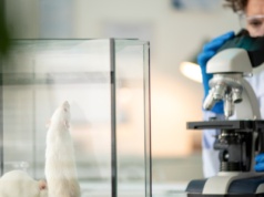 Naukowcy na tropie genu spokoju. Stwarza szansę leczenia ADHD inaczej niż dotychczas