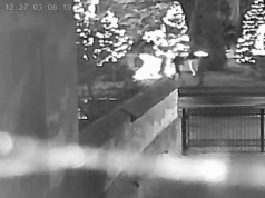 Dewastacja w Krzyżanowicach. Policja publikuje nagranie z kamery monitoringu