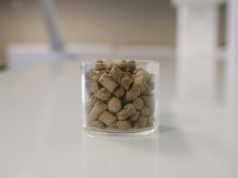 Startup od hodowli owadów zebrał 600 mln dolarów i… zbankrutował