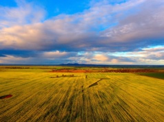 Spadkobiercy farmerów sprzedali milion hektarów ziemi. W pakiecie stado 90 000 sztuk bydła