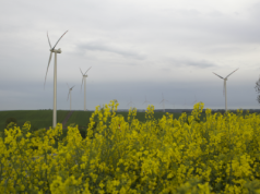 Dzierżawa gruntu pod wiatraki: czy szerokie pełnomocnictwo dla inwestora jest bezpieczne dla rolnika?