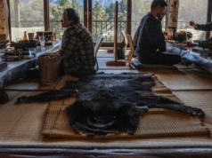 Rekordowo dużo ataków niedźwiedzi w Japonii. Trwa boom na ich mięso