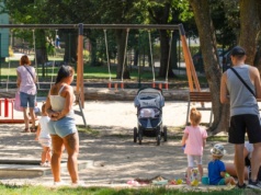 Wypłaty 800 plus w styczniu. Kiedy przelewy od ZUS?