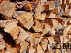 Zbyt długie sezonowanie drewna może być równie niebezpieczne jak zbyt krótkie. Oto, co się dzieje ze "starym" drewnem