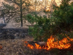 Nawet 30 tys. zł za podpalanie traw. Zmiany pod koniec grudnia