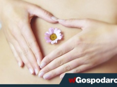 Jelita to nie tylko trawienie pokarmów