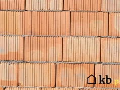 Który materiał na ściany wybrać? AI ujawnia zaskakującą prawdę!