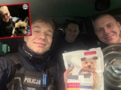 Porzucony buldog na mrozie. Policja znalazła go przywiązanym do drzewa