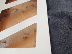 Wylęgarnie moli w domu. Sprawdź, gdzie się ukrywają. To ich ulubione kryjówki