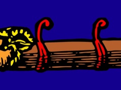 Przekroczyć lewicowy i prawicowy liberalizm. Donald Trump to taran, obalający porządek