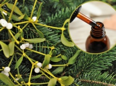 Po świętach nie wyrzucaj tylko zrób z niej domowy lek na nadciśnienie i miażdżycę. Wzmocni organizm i poprawi trawienie. Wypróbuj przepis