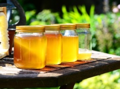 Miodomat na każdym osiedlu. Naukowcy z Politechniki Bydgoskiej mają pomysł