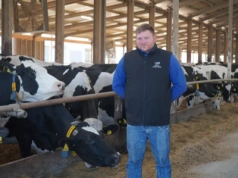 14,5 tys. kg mleka od krowy i dój w 2 godziny. Tak pracuje Żołędnica