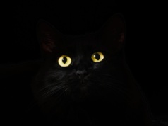 Niemal zero odbicia. Ten materiał wygląda jak czarna dziura