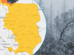 Wichury, zawieje i zamiecie. IMGW ostrzega przed kolejnymi niebezpiecznymi zjawiskami