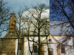 Świdnica wczoraj i dziś. Ulica Muzealna