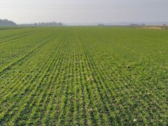 Nowy kontrakt na surowce dla nawozów NPK. Grupa Azoty i Nutrien łączą siły