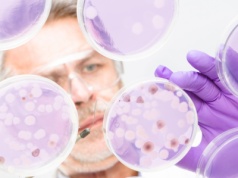 Rewolucja w walce z superbakteriami? Sekretna broń od... mrówek