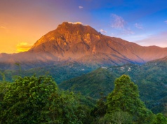 Tropiki i egzotyka bez wizy 🌴🌞 Kuala Lumpur, Penang i Borneo w jednej podróży za 3232 PLN ✈🌏