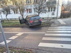 Zielona Góra. Ludzie zatrzymali pijanego i agresywnego kierowcę BMW, uderzył w drzewo (FILM, ZDJĘCIA)