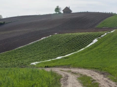 Ziemia klasy III bije rekordy cen. Gdzie hektar kosztuje najwięcej?