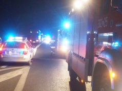 Zderzenie aut z łosiem. Są utrudnienia w ruchu na trasie Lublin – Chełm