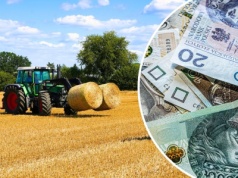 KOWR sprzedaje 85-ha gospodarstwo po PGR. Kusi niska cena, ale są też haczyki