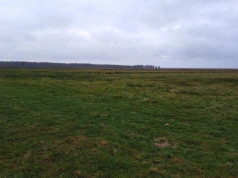 Dopłaty bezpośrednie 2026 na nowych zasadach. Co się zmieni?