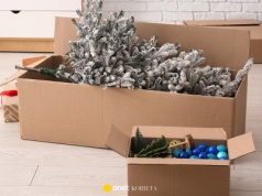 Do kiedy może stać choinka? Są trzy terminy, wiele osób wybiera pierwszy