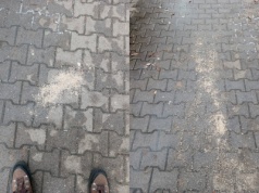 Niepodoba mu się sól na bielańskich chodnikach. 