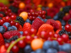 Wielka polska przetwórnia upadła. Rolnicy stracili miliony