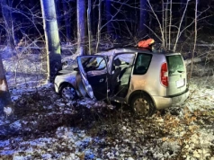 Skodą w drzewo. W samochodzie podróżowało pięć osób