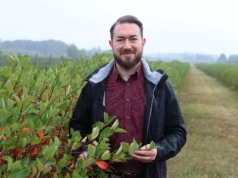 Zaplanowanie plantacji, wybór sadzonek, skup owoców – zapraszamy na webinarium aroniowe 8 stycznia!