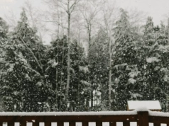 Prognoza na sylwestra i Nowy Rok. Synoptyk o „efekcie jeziora”. „Nie będzie widać świata”