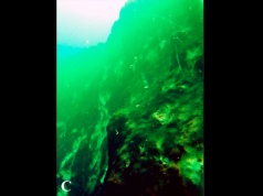 Gigantyczne zapadlisko u wybrzeży Karaibów. Instrumenty zanurzone w głębinie wykryły nagłą zmianę właściwości wody