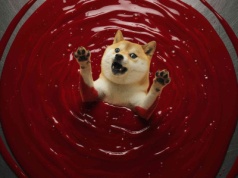 Dogecoin tonie w czerwieni a wieloryby uciekają z pokładu. Czy to już koniec marzeń o wzrostach?