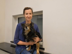 Fajerwerki: krótka radość dla ludzi, cierpienie dla zwierząt